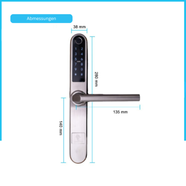 Monaco Smart-Türgriff silber